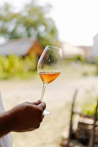 Sommeliér pro Zátiší Group